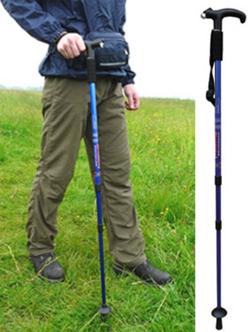 Alloy Hiking Stick With LED Light picture
