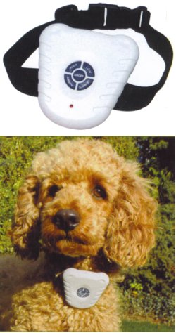 anti bark collar picture