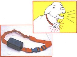 bark collars picture
