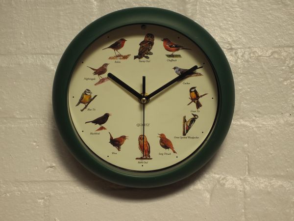 Bird Song Clock picture