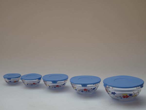 Bowls With Lids picture