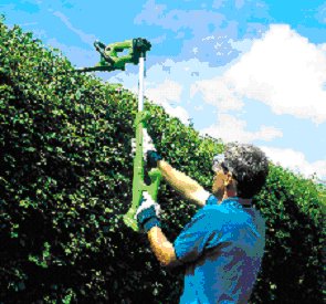 cordless garden trimmer picture