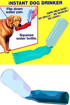dog water picture