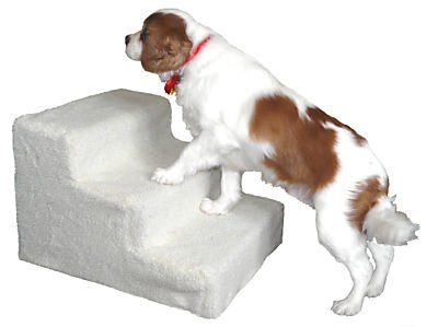 Doggy Steps picture