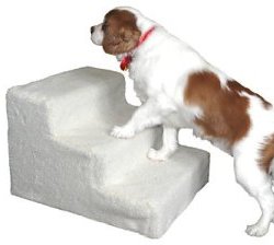 doggy steps picture