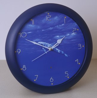 dolphin sea sounds clock picture