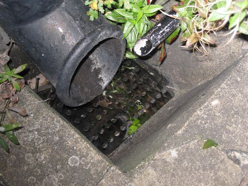 Drain Covers picture