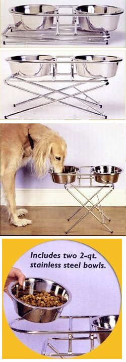 elevated dog bowls picture