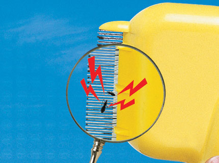 Flea Detector / Comb picture