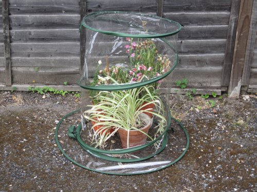 Garden Cloches Mini Greenhouses picture