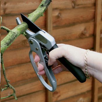 garden pruner picture