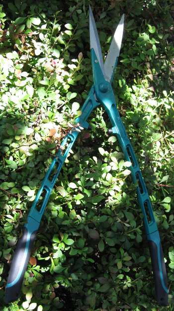 garden Shears picture