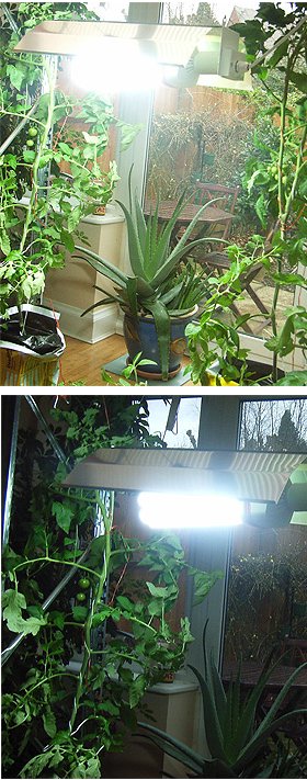 grow light picture