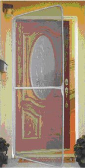 insect screen door picture