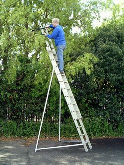 Ladder stabiliser picture