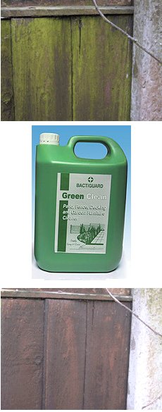 mold removal bottle picture