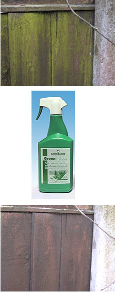 mold removal spray picture
