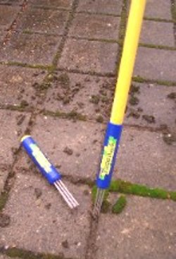 moss removal tool long handle picture