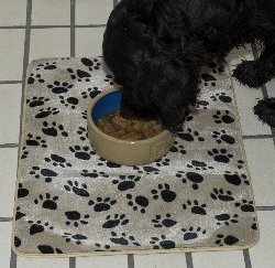 pet food mat picture