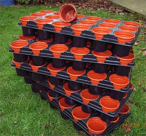 pots and containers six cm picture