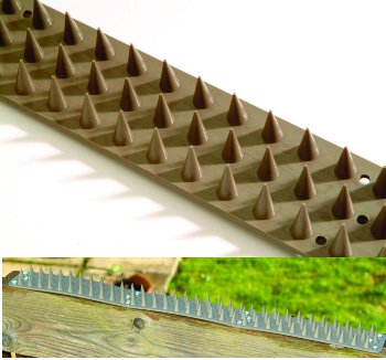 security spikes picture