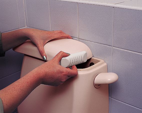 Toilet Descaler picture